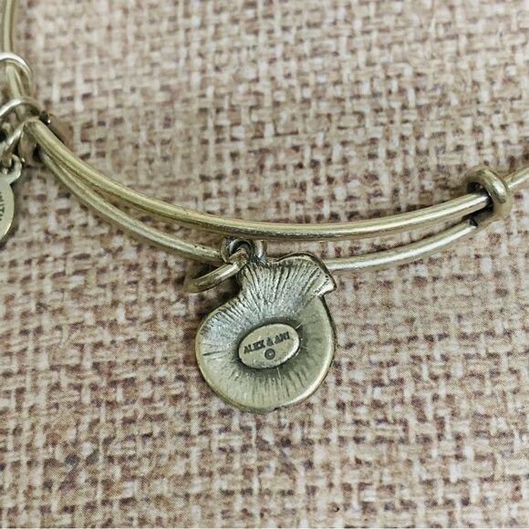 Alex and Ani Silver Apple Bracelet - Picture 2 of 2